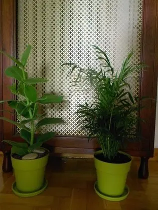 Apart Daire, Şehir Manzaralı