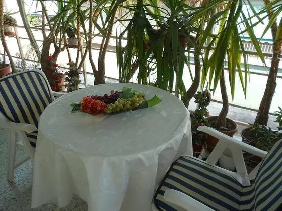 Apart Daire, Şehir Manzaralı