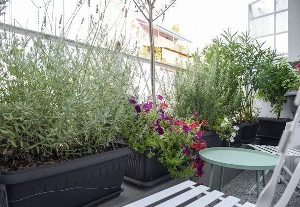 Presidential Apart Daire, Balkon, Şehir Manzaralı