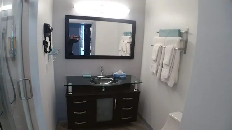 Executive Süit, 2 Yatak Odası, Buzdolabı ve Mikrodalga, Şehir Manzaralı