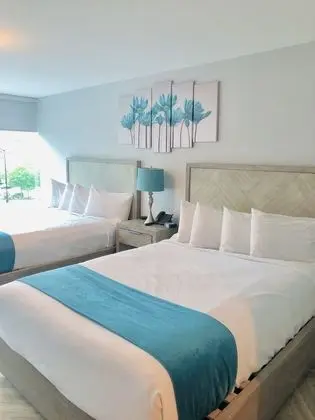 Luxury Tek Büyük Yataklı Oda, 2 Büyük (Queen) Boy Yatak, Buzdolabı ve Mikrodalga, Şehir Manzaralı