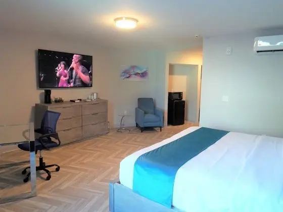 Luxury Tek Kişilik Oda, Buzdolabı ve Mikrodalga, Şehir Manzaralı