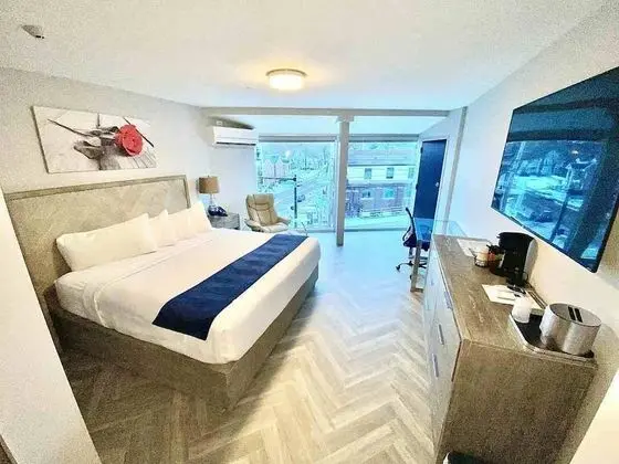 Luxury Tek Kişilik Oda, Buzdolabı ve Mikrodalga, Şehir Manzaralı