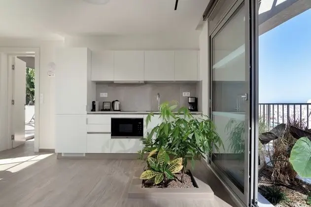 Apart Daire, 1 Yatak Odası, Sıcak Su Havuzu (Rooftop apartment & Terrace)