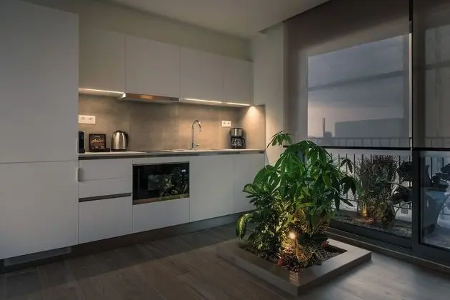 Apart Daire, 1 Yatak Odası, Sıcak Su Havuzu (Rooftop apartment & Terrace)