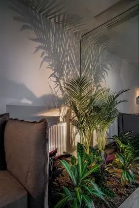 Apart Daire, 1 Yatak Odası, Sıcak Su Havuzu (Rooftop apartment & Terrace)