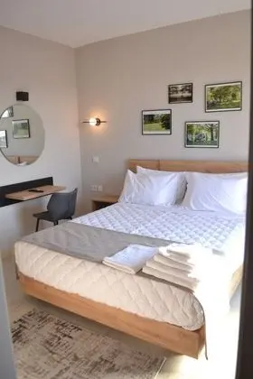 Standard Tek Büyük Yataklı Oda