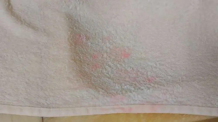 Apart Daire, 1 Yatak Odası, Balkon