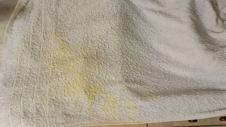 Apart Daire, 1 Yatak Odası, Balkon