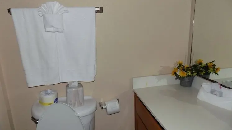 Executive Oda, 1 Yatak Odası, Sigara İçilmez