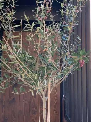 Çatı Katı (Loft), 2 Yatak Odası (7)