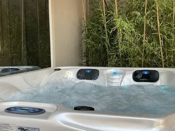 Deluxe Süit, 1 Yatak Odası, Sigara İçilmez, Jakuzi