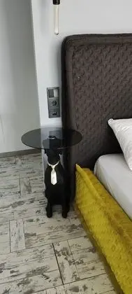 Design Çatı Katı (Loft), Havuz Kullanımı (Red)