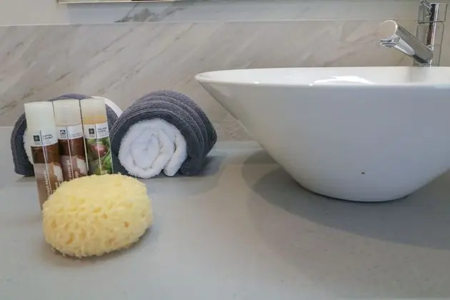 Superior Tek Büyük veya İki Ayrı Yataklı Oda, Balkon (301)