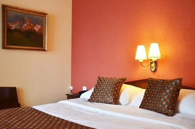 Standard Tek Büyük Yataklı Oda