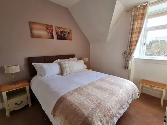 Tek Büyük Yataklı Oda (Kingsize room)