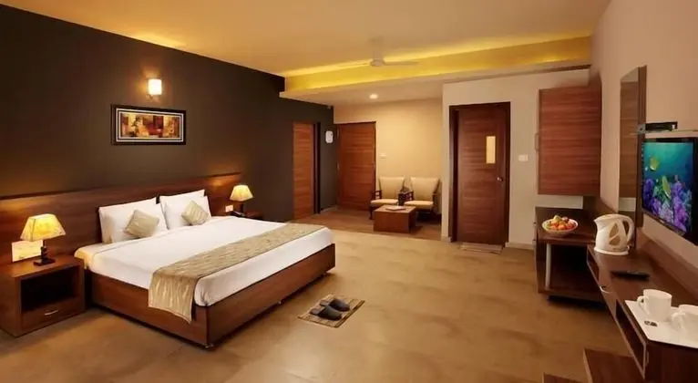 Deluxe Oda, 1 Yatak Odası, Buzdolabı, Şehir Manzaralı