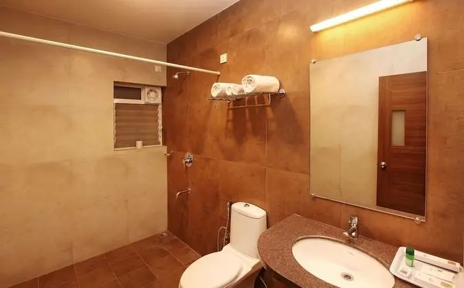 Deluxe Oda, 1 Yatak Odası, Buzdolabı, Şehir Manzaralı
