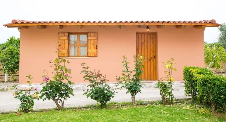 Bungalov