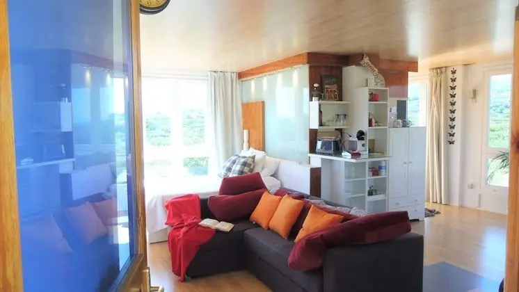 Çatı Katı Süiti (Penthouse), 1 Yatak Odası, Dağ Manzaralı