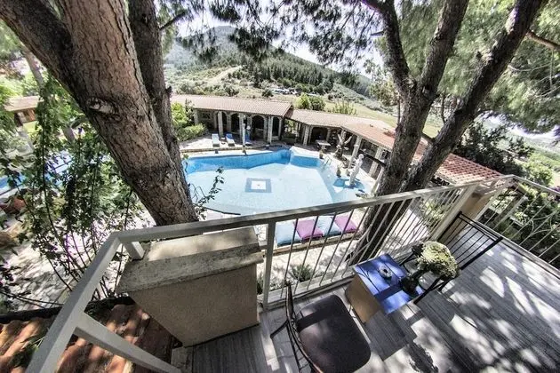 Primary image
