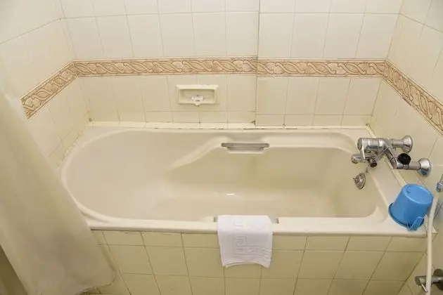 Deluxe Tek Kişilik Oda, 1 Tek Kişilik Yatak, Şehir Manzaralı