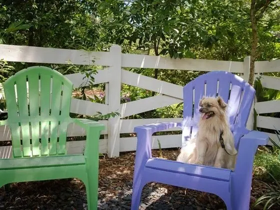 Ev, Birden Çok Yatak, Sıcak Su Havuzu, Bahçe Manzaralı