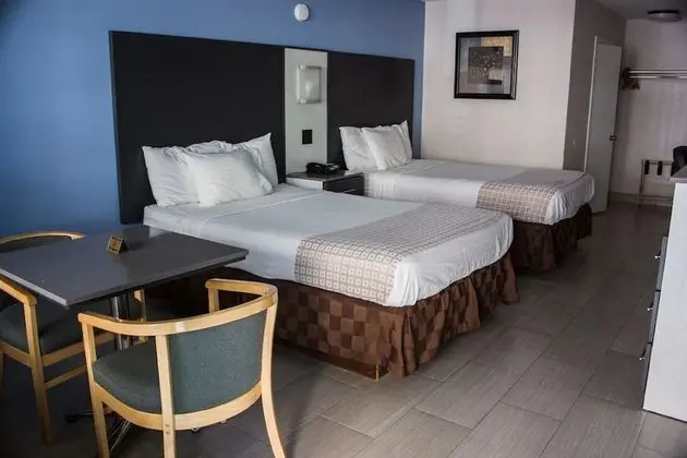 Deluxe Tek Kişilik Oda, 2 Çift Kişilik Yatak
