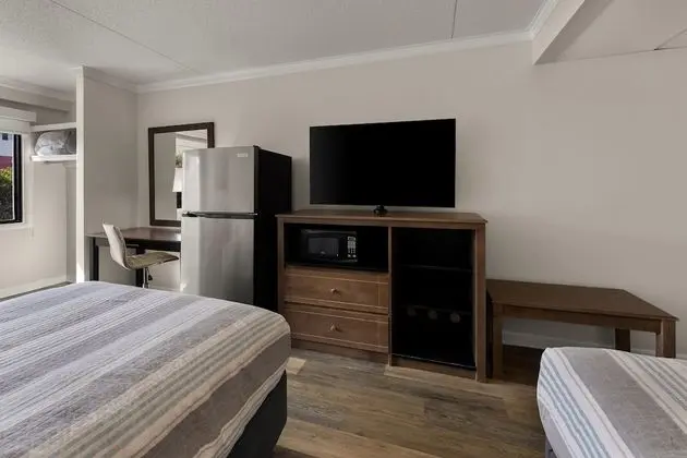 Deluxe Tek Büyük Yataklı Oda, Birden Çok Yatak, Buzdolabı ve Mikrodalga