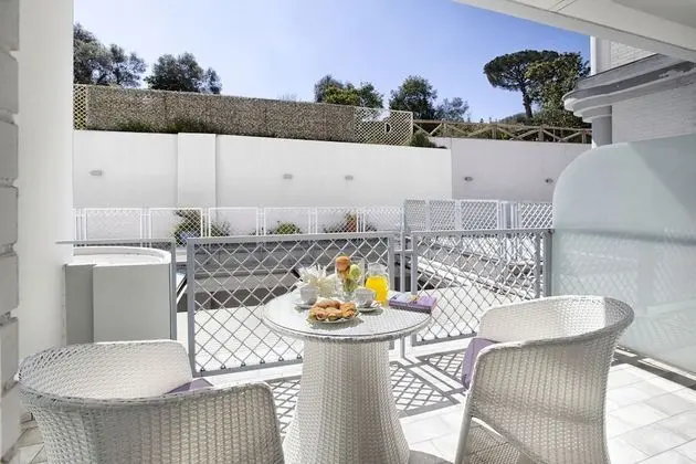 Standard Tek Büyük Yataklı Oda, Balkon, Dağ Manzaralı (Adults only)