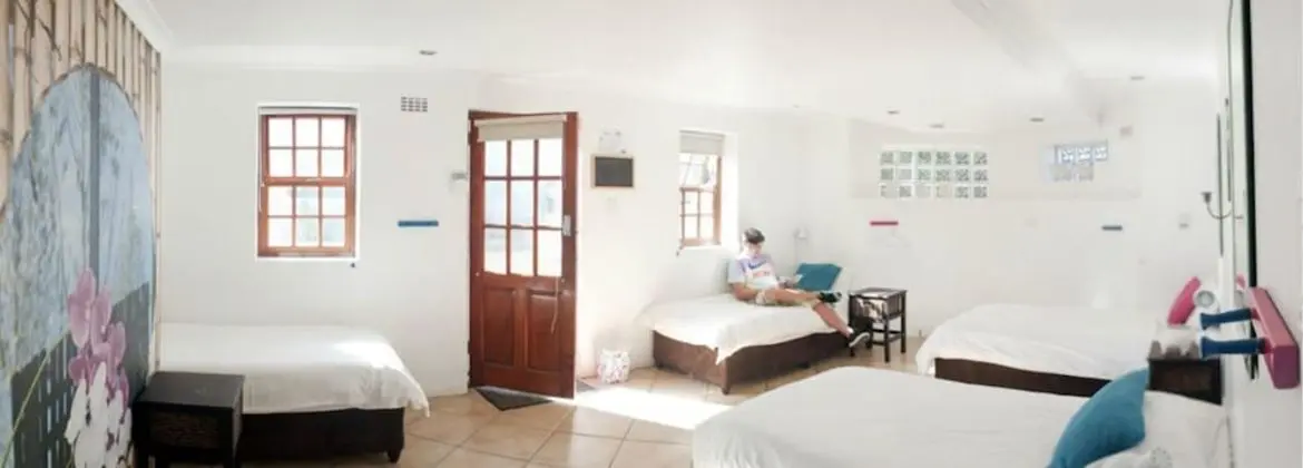 Ortak Ranzalı Oda (4 Bed Mixed Dorm)