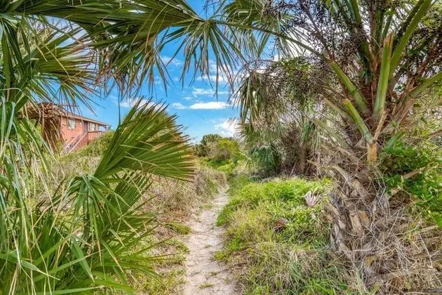 Ev (Atlantic Splash)