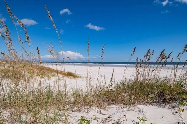 Ev (Atlantic Vista Beach House)