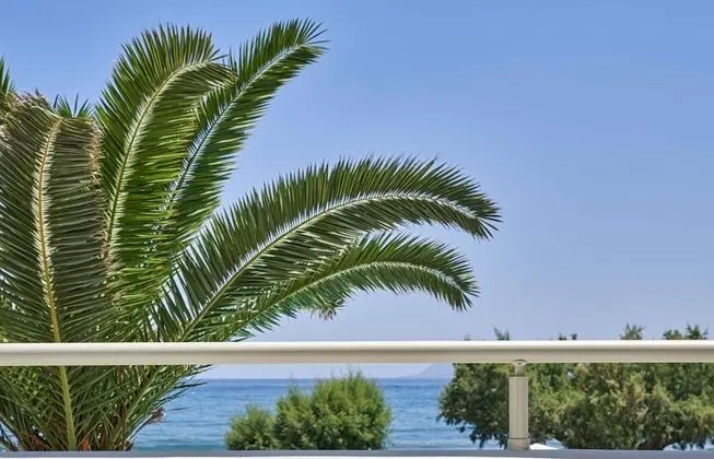 Standard Oda, Deniz Manzaralı