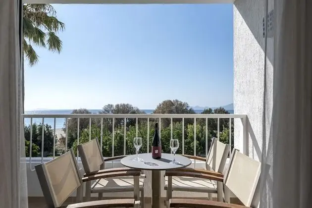 Executive Suite Garden view