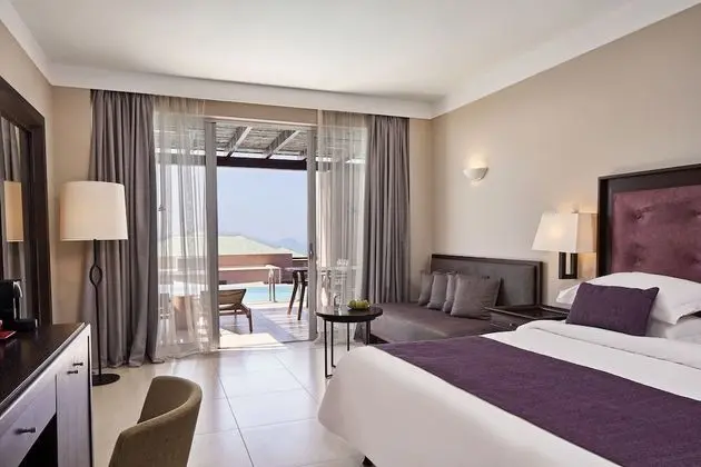 Twin / Double Room Swim Up Inland View