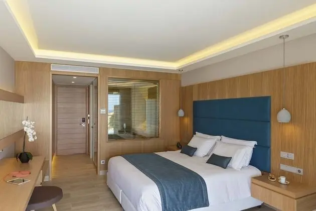 Deluxe Double Room Swim Up Limited Sea View