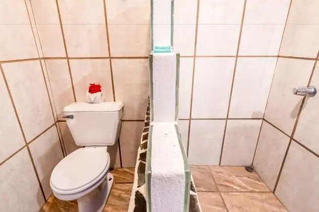 Deluxe Tek Büyük Yataklı Oda, 2 Çift Kişilik Yatak