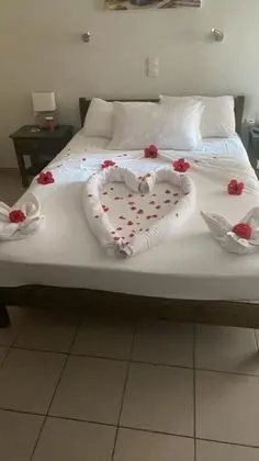 Standard Dört Kişilik Oda, Bahçe Manzaralı