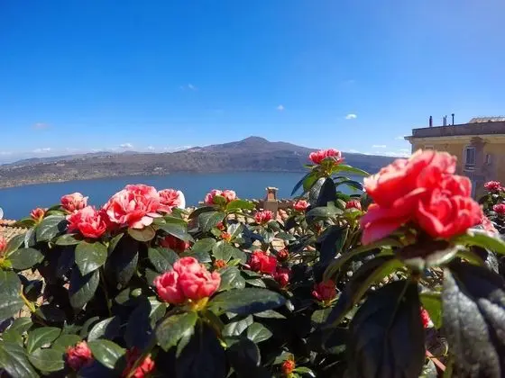 Honeymoon Çatı Katı (Loft), 1 Yatak Odası, Sigara İçilmez, Göl Manzaralı