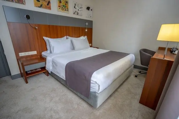 Standard Tek Büyük Yataklı Oda, 1 Büyük (Queen) Boy Yatak