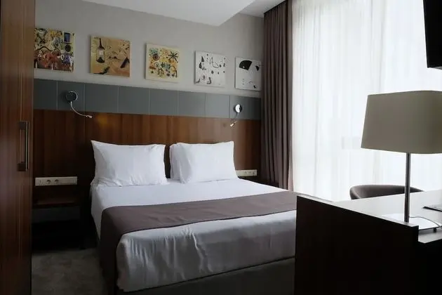 Standard Tek Büyük Yataklı Oda, 1 Büyük (Queen) Boy Yatak