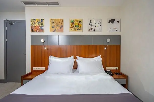 Standard Tek Büyük Yataklı Oda, 1 En Büyük (King) Boy Yatak