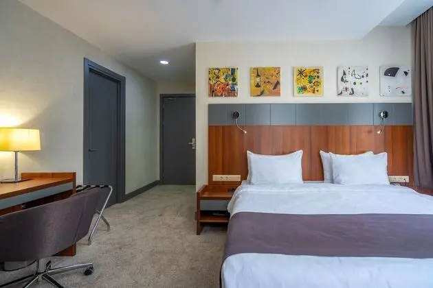 Standard Tek Büyük Yataklı Oda, 1 En Büyük (King) Boy Yatak