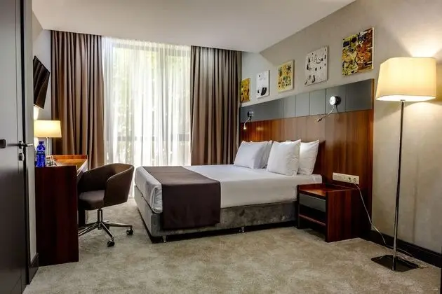 Standard Tek Büyük Yataklı Oda, 1 En Büyük (King) Boy Yatak