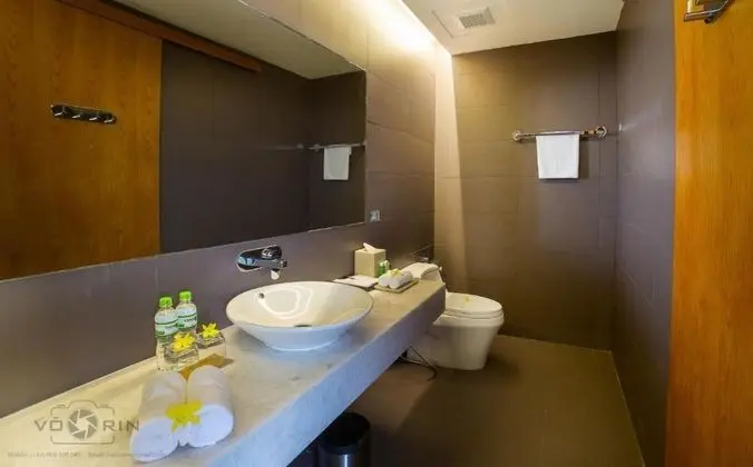 Superior İki Ayrı Yataklı Oda, Şehir Manzaralı