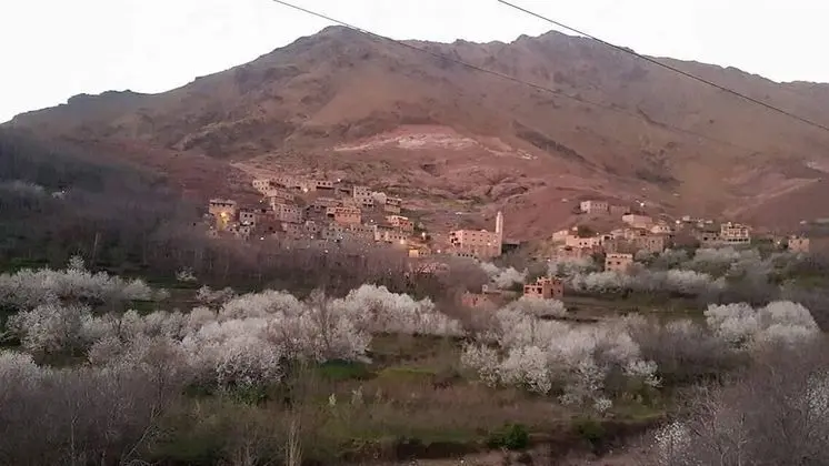 Üç Kişilik Oda, Balkon, Dağ Manzaralı (Toubkal)