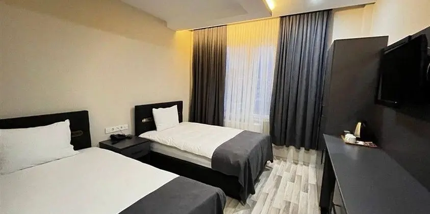 Agrı Dağı Manzaralı Standard Twin Oda