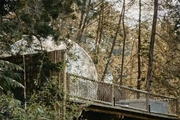 Bubble Villa