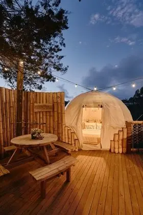 Cocoon Villa